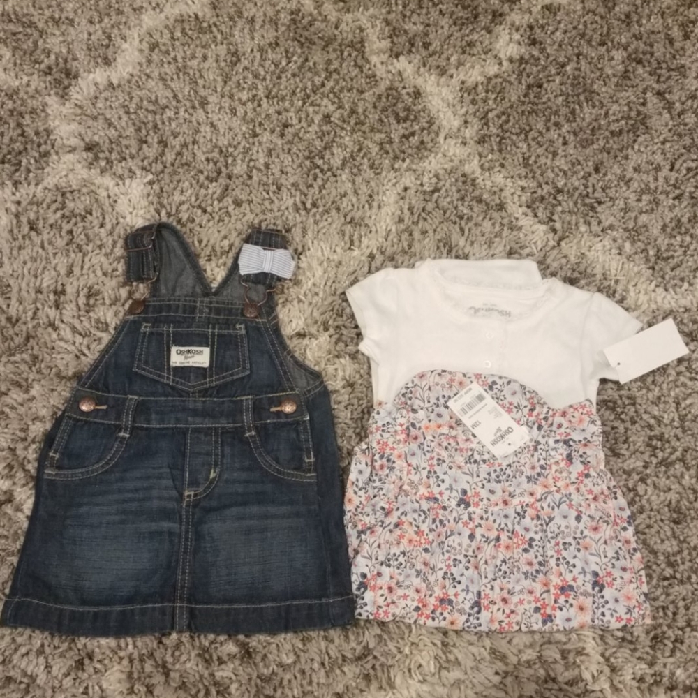 NWT Baby girl onesies and jumper
